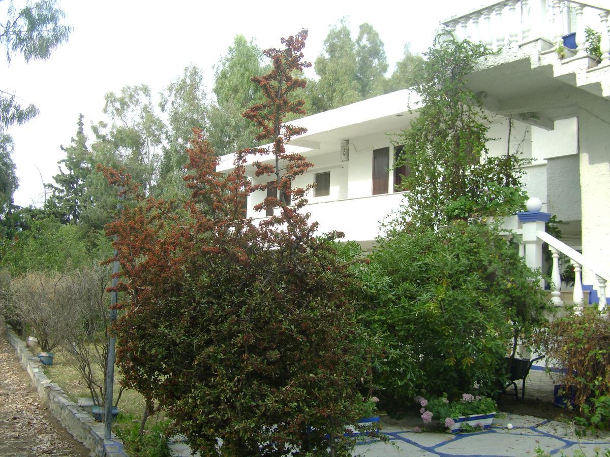 Villa Zoi Thrónio Kültér fotó