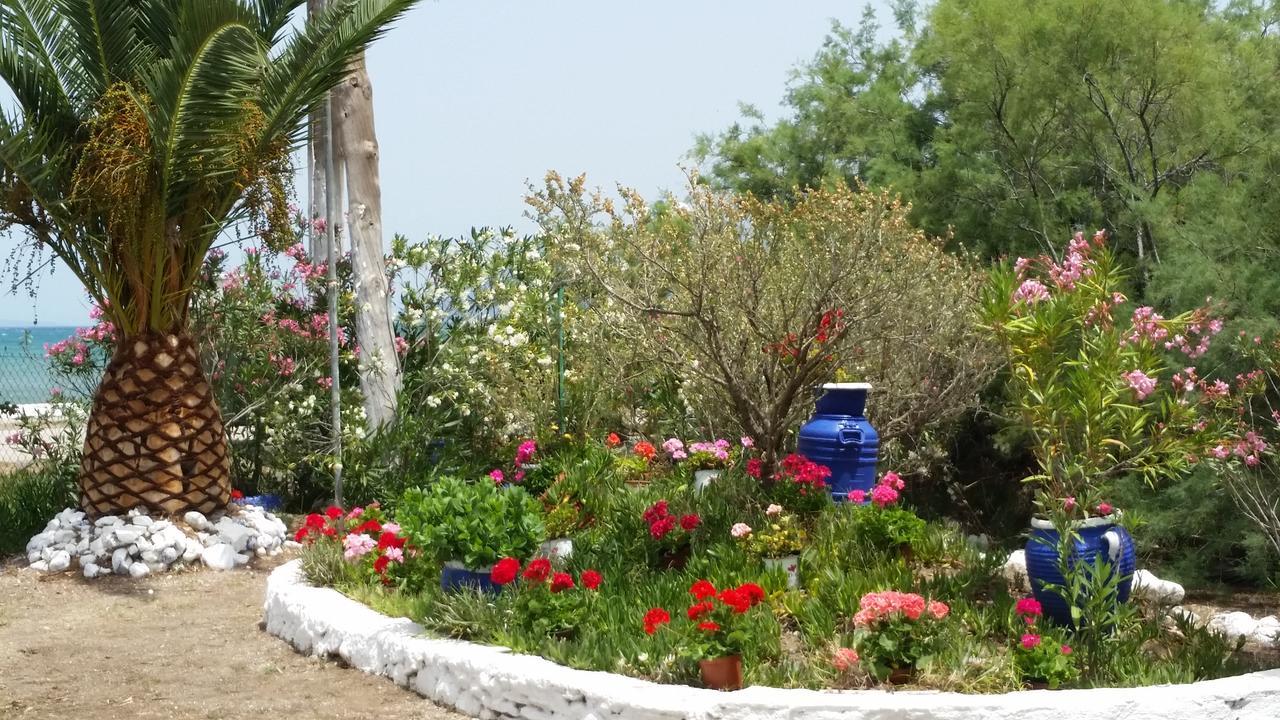 Villa Zoi Thrónio Kültér fotó
